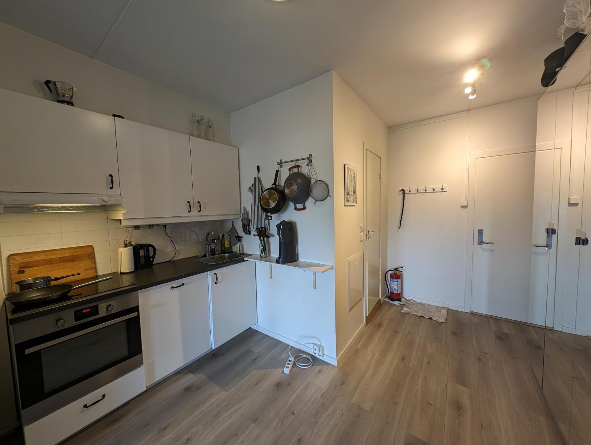 Spacious And Cozy Study Apartment With Balcony 奥斯陆 外观 照片