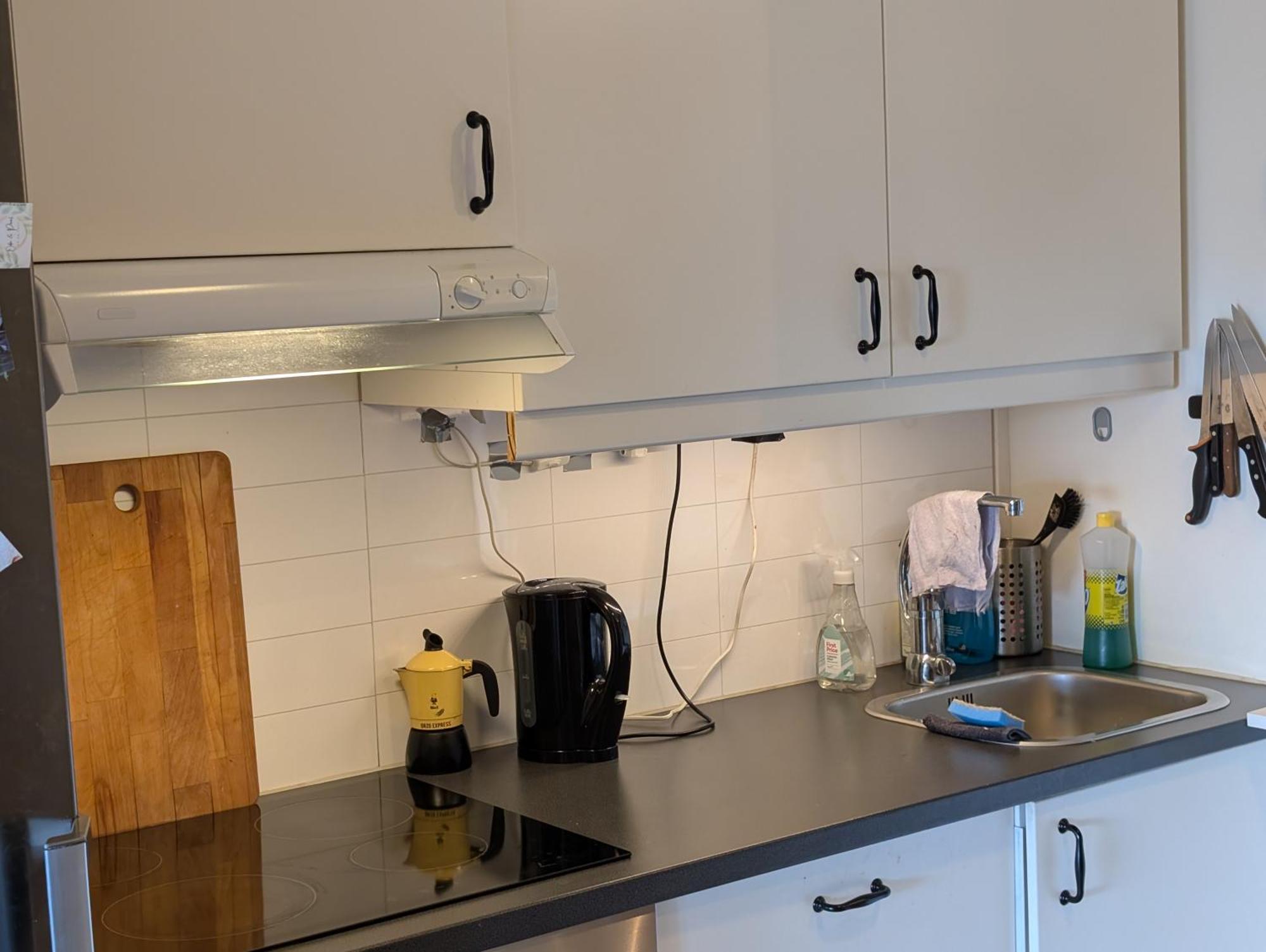 Spacious And Cozy Study Apartment With Balcony 奥斯陆 外观 照片