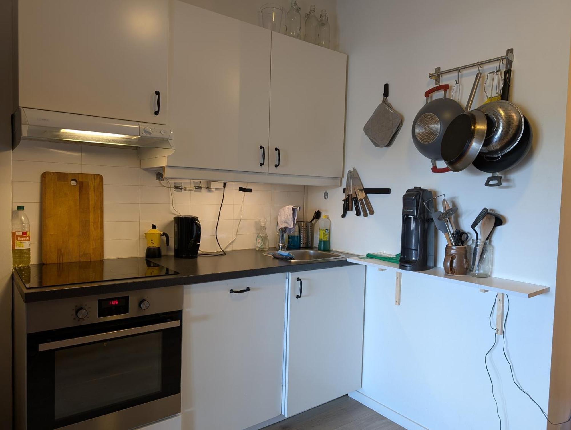 Spacious And Cozy Study Apartment With Balcony 奥斯陆 外观 照片