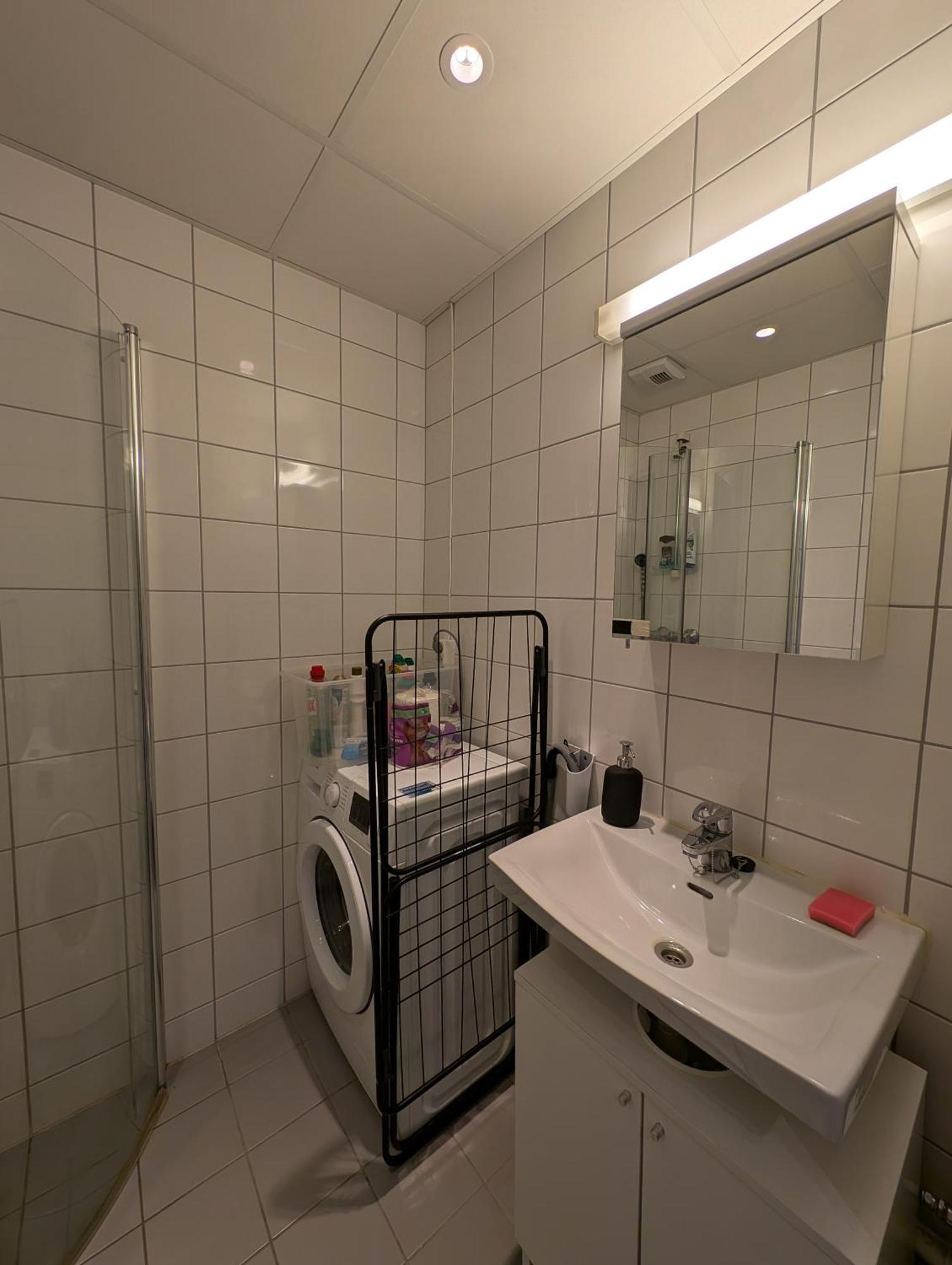 Spacious And Cozy Study Apartment With Balcony 奥斯陆 外观 照片
